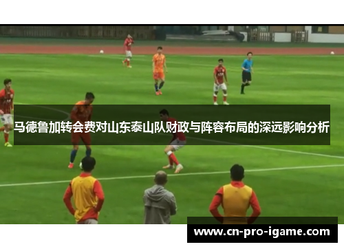 马德鲁加转会费对山东泰山队财政与阵容布局的深远影响分析 马德鲁加转会费对山东泰山队财政与阵容布局的深远影响分析