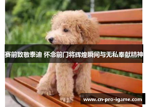 赛前致敬泰迪 怀念前门将辉煌瞬间与无私奉献精神 赛前致敬泰迪 怀念前门将辉煌瞬间与无私奉献精神